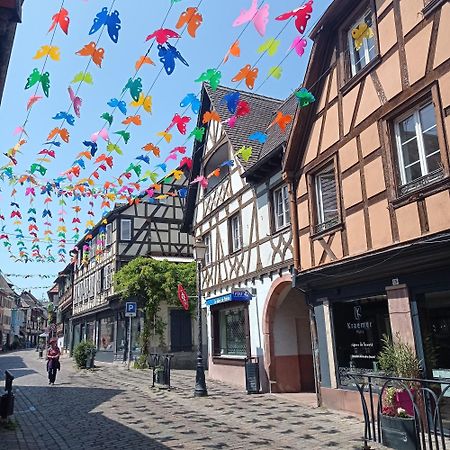 Appartement Cosy - Centre De Barr - Route Des Vins ภายนอก รูปภาพ