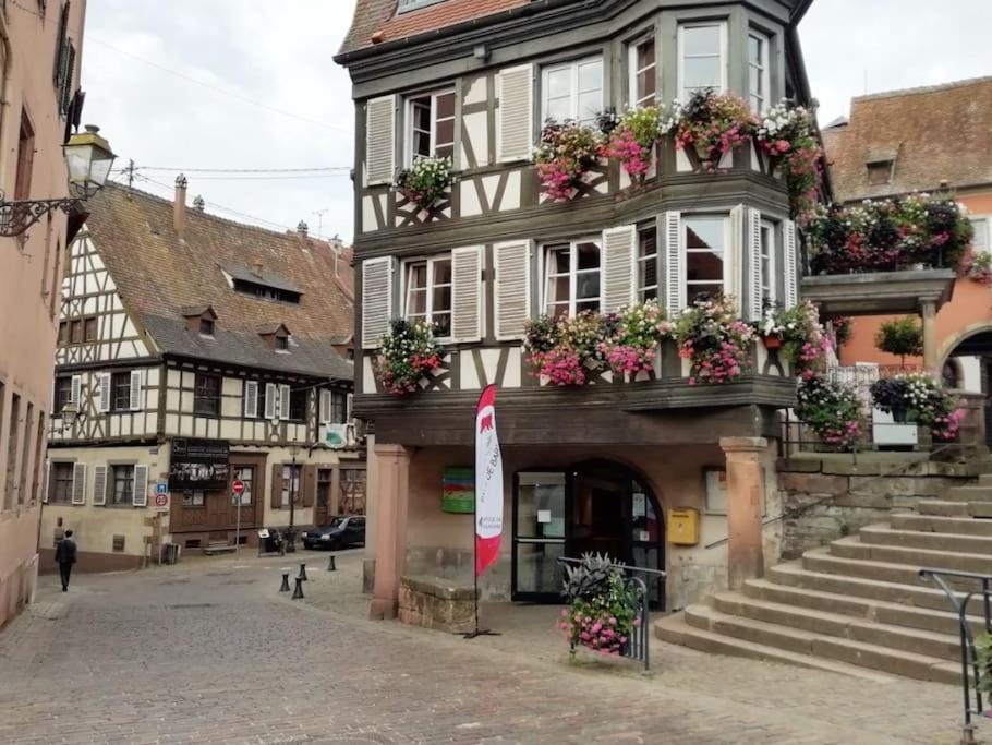 Appartement Cosy - Centre De Barr - Route Des Vins ภายนอก รูปภาพ